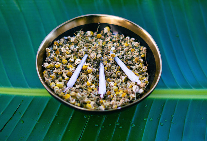 Taomi Tea Lavender Pre-Roll