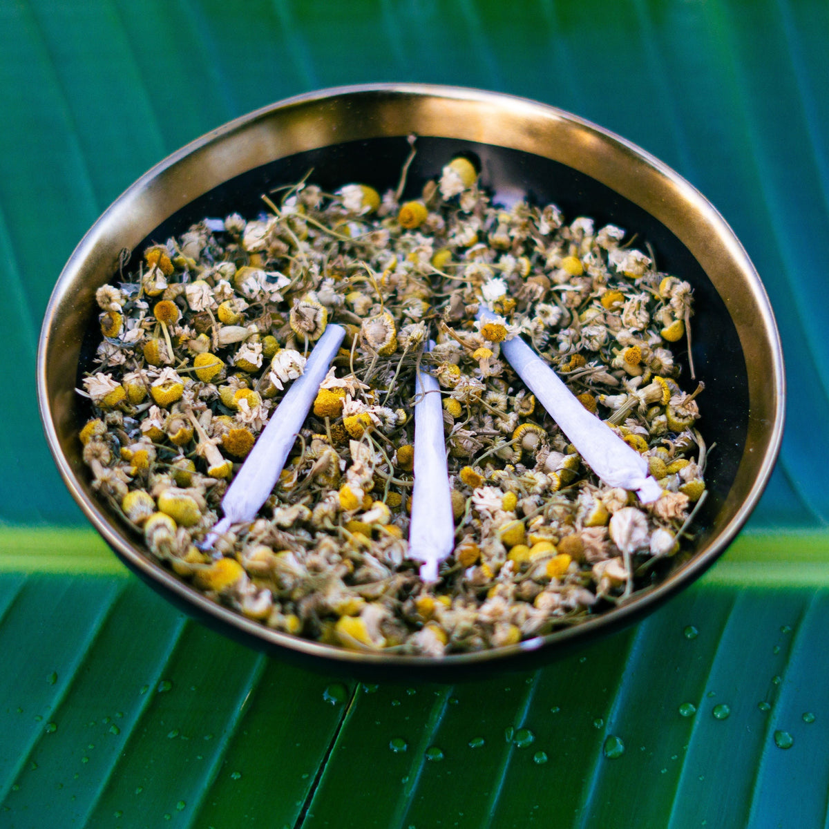 Taomi Tea Minty Cool Pre-Roll