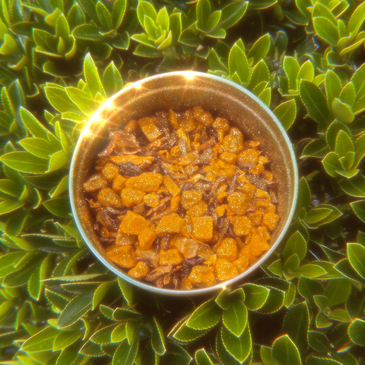 Magic Dust Taomi Tea Blend