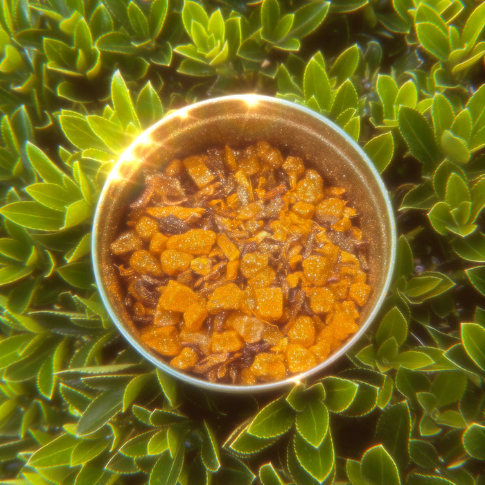 Magic Dust Taomi Tea Blend